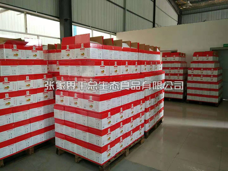 其他系列 (1) 其他系列 (1)